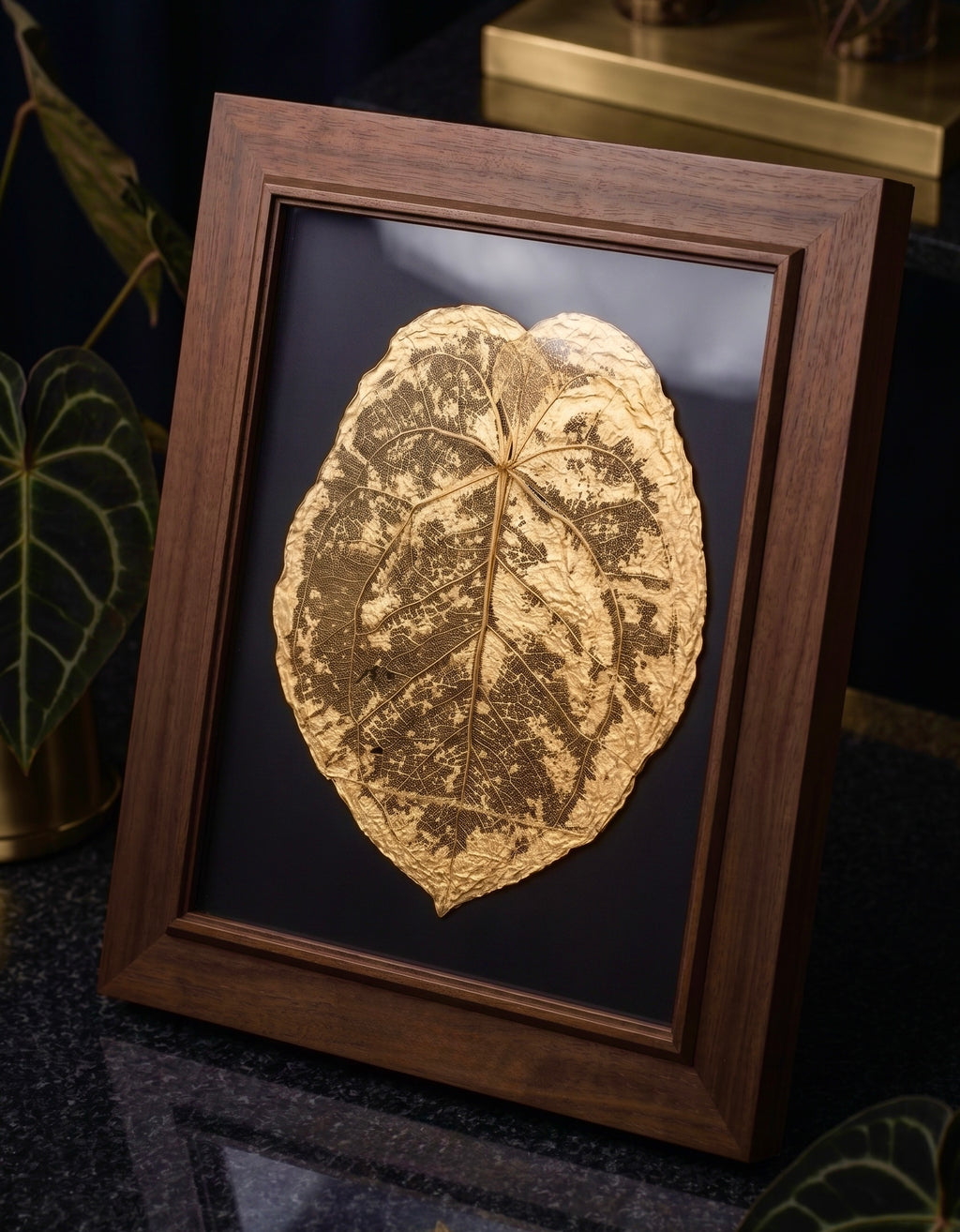 Michelle - anthurium 'Michelle"