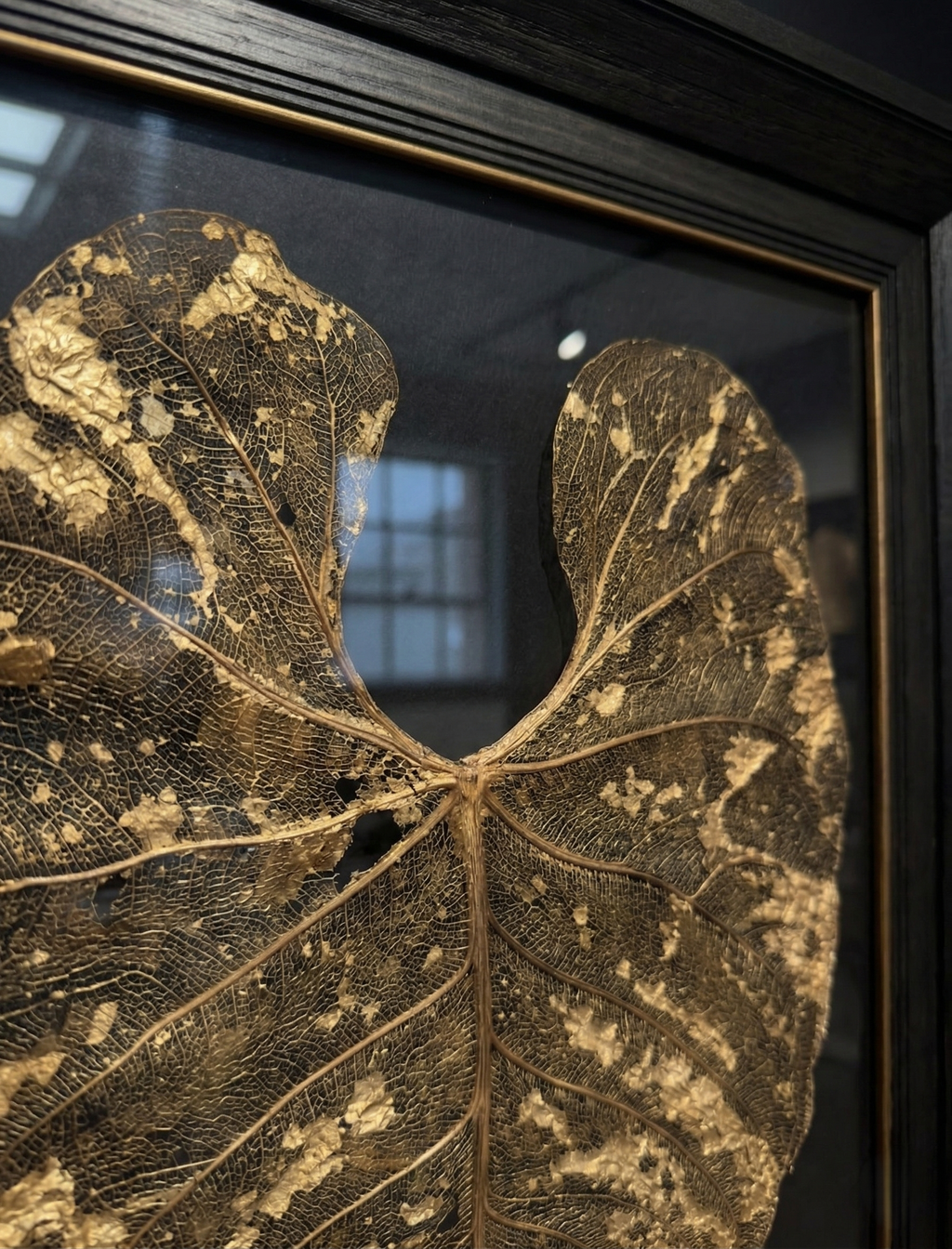 Gatsby’s Gold - anthurium Regale