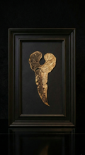 Love in a Fallen City -  anthurium Ivanportilla