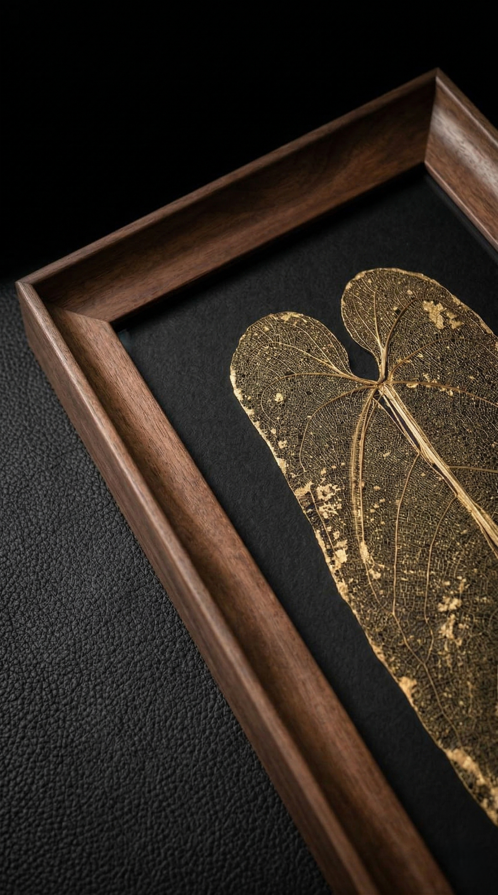 Titania - anthurium warocqueanum